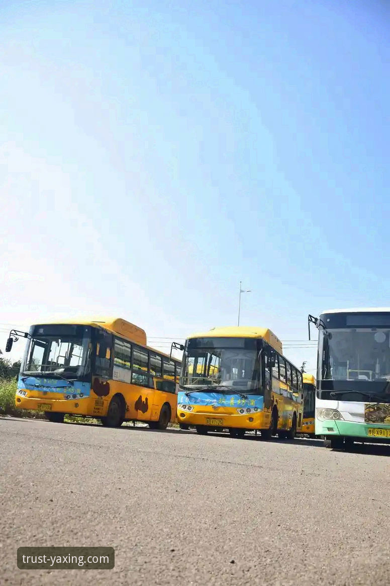 亚星客车图片怎么下载 亚星体育平台资源获取深度评测:专业视角解析亚星客车图片下载路径与效率